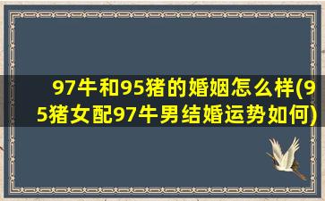 97牛和95猪的婚姻怎么样(95猪女配97牛男结婚运势如何)