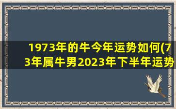 1973年的牛今年运势如何(73年属牛男2023年下半年运势)