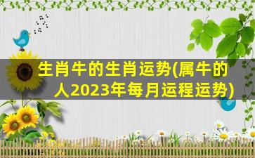 生肖牛的生肖运势(属牛的人2023年每月运程运势)