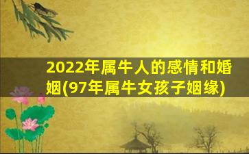 2022年属牛人的感情和婚