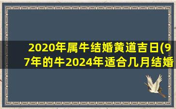 2020年属牛结婚黄道吉日(97年的牛2024年适合几月结婚)