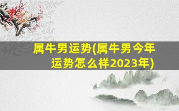 属牛男运势(属牛男今年运势怎么样2023年)