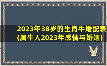 2023年38岁的生肖牛婚配表(属牛人2023年感情与婚姻)