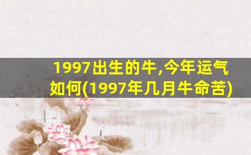 1997出生的牛,今年运气如何(1997年几月牛命苦)