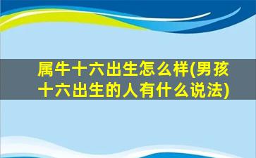 属牛十六出生怎么样(男孩十六出生的人有什么说法)