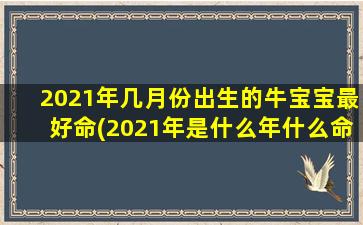 2021年几月份出生的牛宝宝最好命(2021年是什么年什么命几月好)