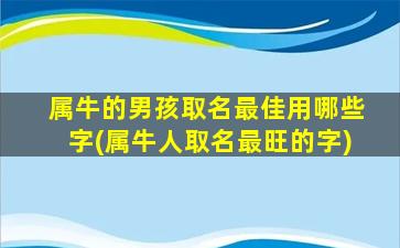 属牛的男孩取名最佳用哪些字(属牛人取名最旺的字)