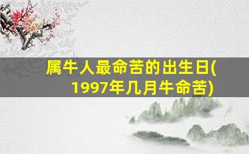 属牛人最命苦的出生日(1997年几月牛命苦)