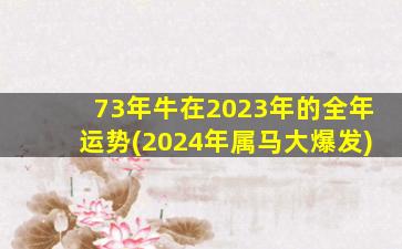 73年牛在2023年的全年运势(2024年属马大爆发)