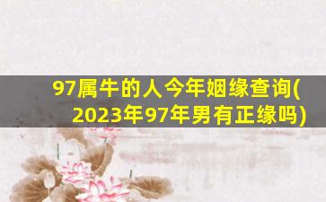 97属牛的人今年姻缘查询(2023年97年男有正缘吗)