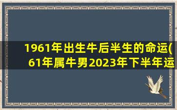 1961年出生牛后半生的命运