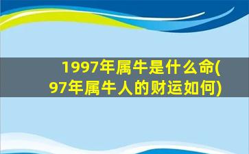 1997年属牛是什么命(97年