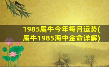 1985属牛今年每月运势(属