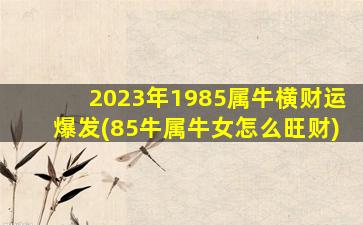 2023年1985属牛横财运爆发