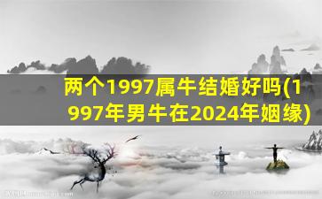 两个1997属牛结婚好吗(1997年男牛在2024年姻缘)