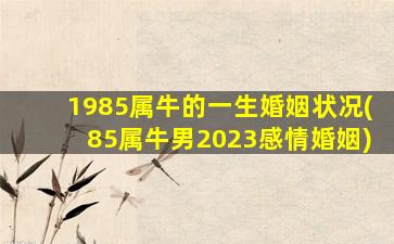 1985属牛的一生婚姻状况(85属牛男2023感情婚姻)