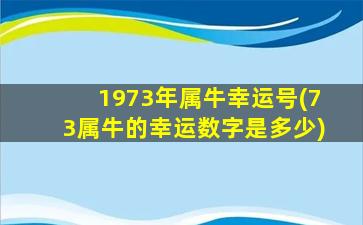 1973年属牛幸运号(73属牛的幸运数字是多少)