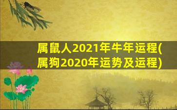 属鼠人2021年牛年运程(属狗