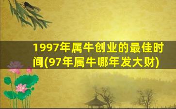 1997年属牛创业的最佳时