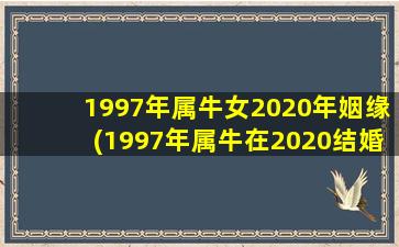 1997年属牛女2020年姻缘