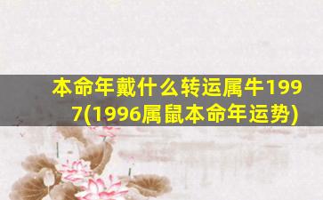 本命年戴什么转运属牛1997(1996属鼠本命年运势)