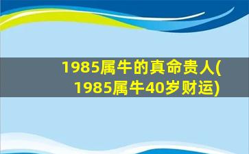 1985属牛的真命贵人(1985属牛40岁财运)