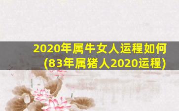 2020年属牛女人运程如何(83年属猪人2020运程)