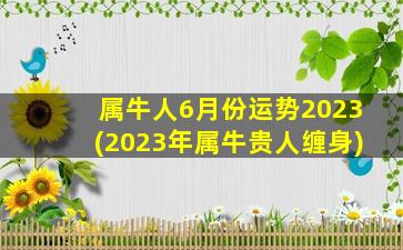 属牛人6月份运势2023(2023年属牛贵人缠身)