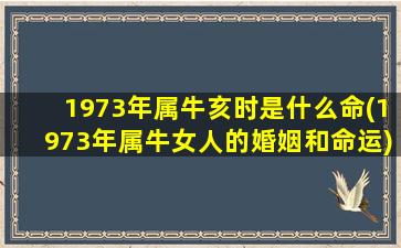 1973年属牛亥时是什么命