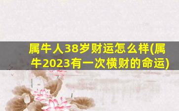 属牛人38岁财运怎么样(属牛2023有一次横财的命运)