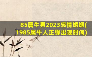 85属牛男2023感情婚姻(1985属牛人正缘出现时间)