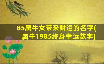 85属牛女带来财运的名字(属牛1985终身幸运数字)