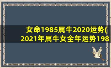 女命1985属牛2020运势(2021年属牛女全年运势1985)