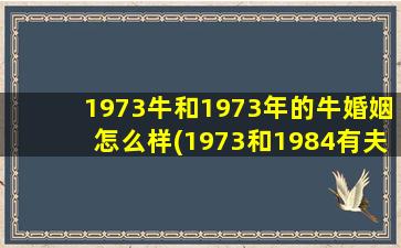 1973牛和1973年的牛婚姻怎