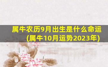 属牛农历9月出生是什么命运(属牛10月运势2023年)