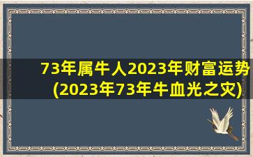 <strong>73年属牛人2023年财富运势</strong>