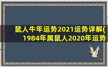 鼠人牛年运势2021运势详