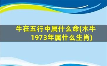 牛在五行中属什么命(木牛 1973年属什么生肖)