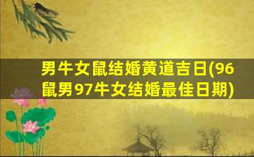 男牛女鼠结婚黄道吉日