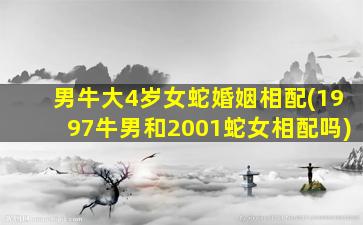 男牛大4岁女蛇婚姻相配(1997牛男和2001蛇女相配吗)