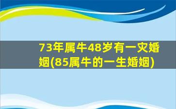 73年属牛48岁有一灾婚姻(85属牛的一生婚姻)