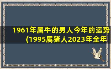 1961年属牛的男人今年的运势(1995属猪人2023年全年运势及运程)