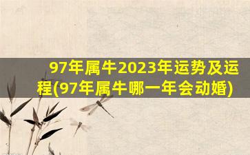 <strong>97年属牛2023年运势及运程</strong>