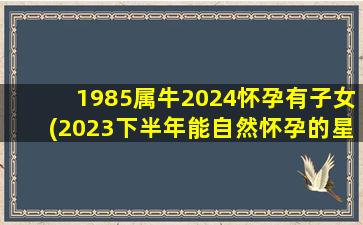 1985属牛2024怀孕有子女(2023下半年能自然怀孕的星座)