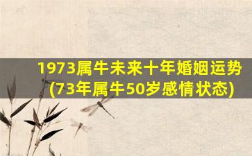 1973属牛未来十年婚姻运势(73年属牛50岁感情状态)