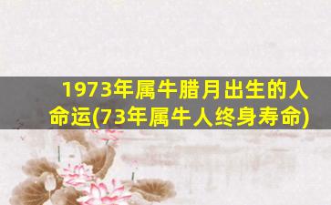 1973年属牛腊月出生的人命运(73年属牛人终身寿命)