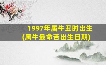 1997年属牛丑时出生(属牛