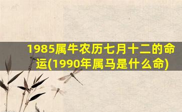 1985属牛农历七月十二的命运(1990年属马是什么命)