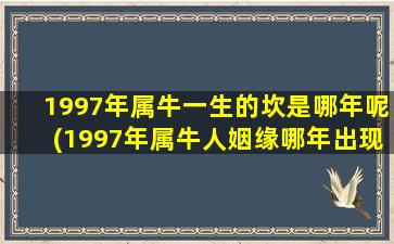 1997年属牛一生的坎是哪年呢(1997年属牛人姻缘哪年出现)