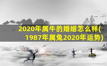 2020年属牛的婚姻怎么样(1987年属兔2020年运势)